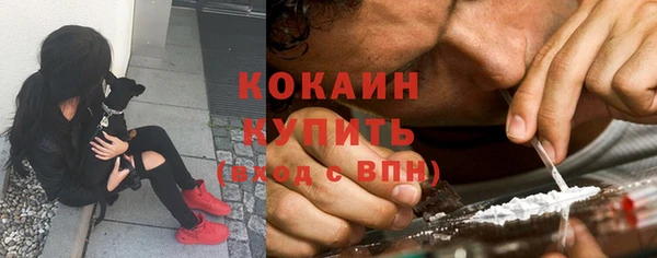 мяу мяу мука Михайловск